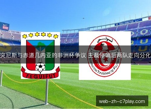 突尼斯与赤道几内亚的非洲杯争议 主裁停哨后两队走向分化